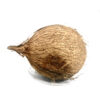 Coco  carnudo - Imagen 2